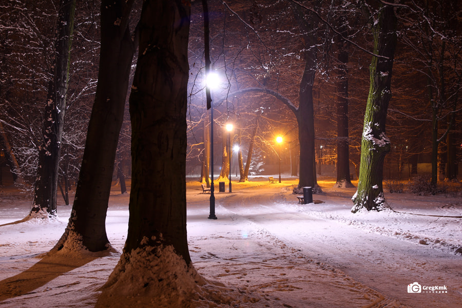 Canon EF-S 17-55mm F2.8 IS USM sample photo. Winter scenery in park vol.2 photography