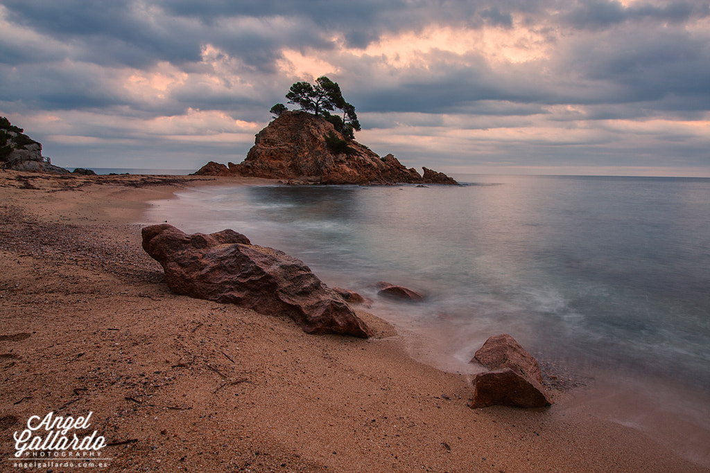 Canon EOS 40D + Canon EF-S 10-18mm F4.5–5.6 IS STM sample photo. Cap roig photography