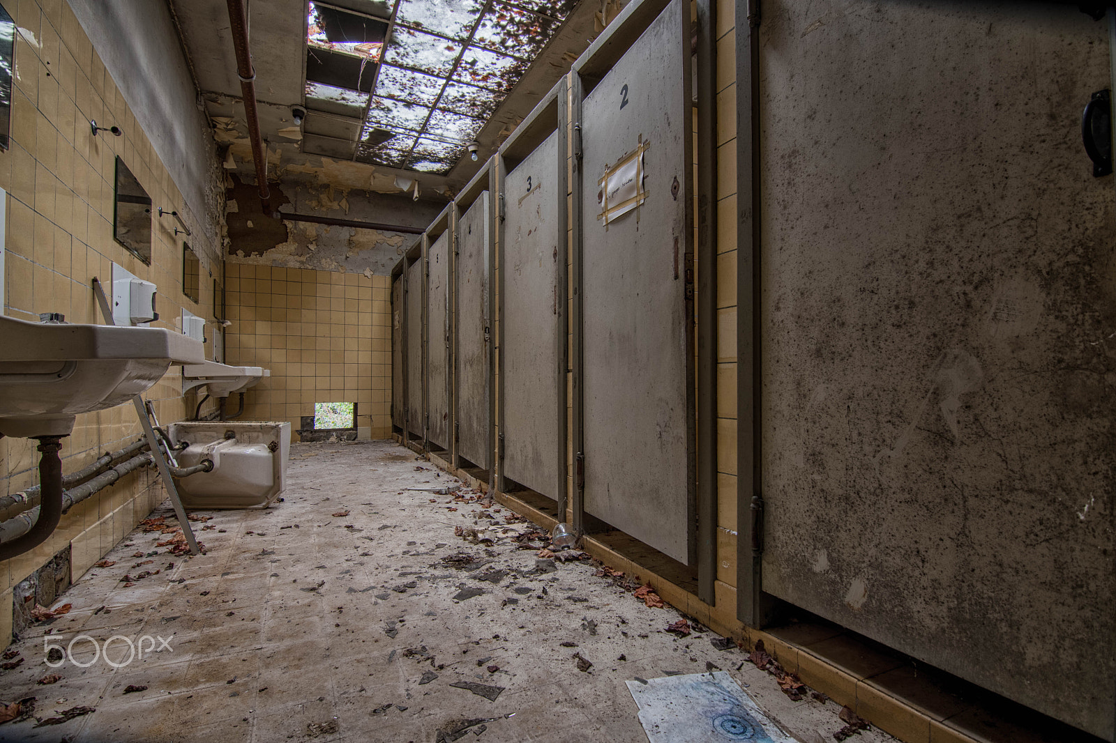 Nikon D500 sample photo. Toilets photography