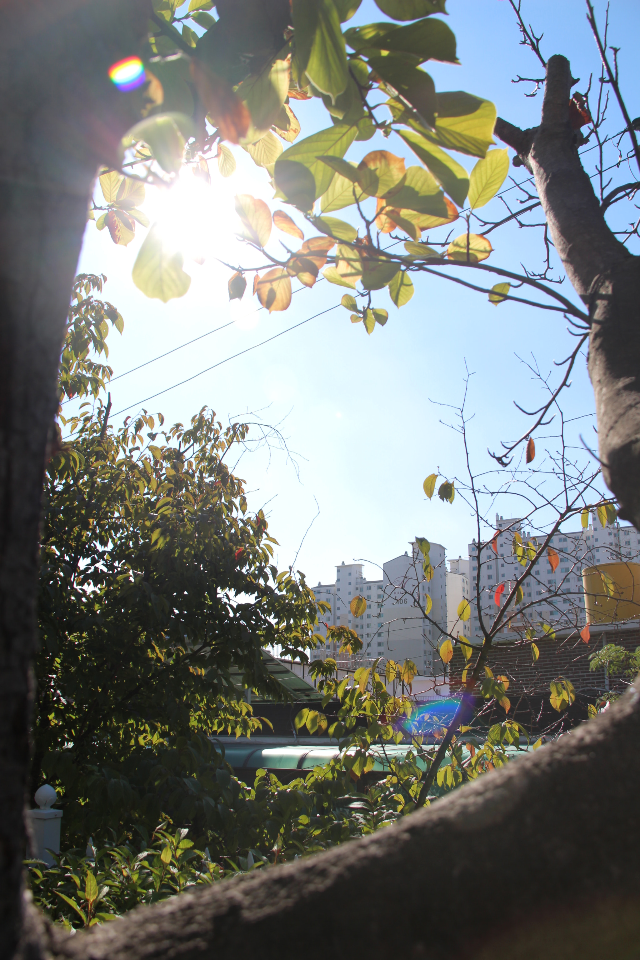 Canon EF-S 18-200mm F3.5-5.6 IS sample photo. 공원에서바라본`````나의 집^^ photography