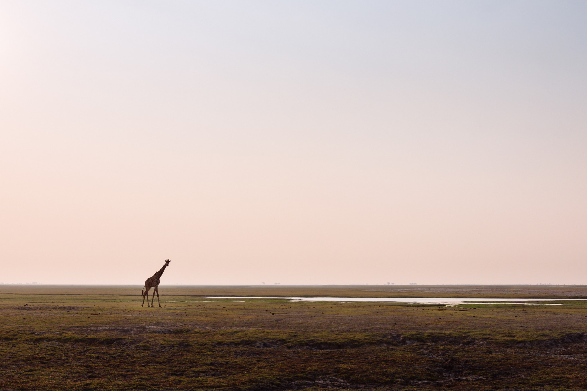 Nikon AF-S Nikkor 24-70mm F2.8G ED sample photo. Out on the plains photography