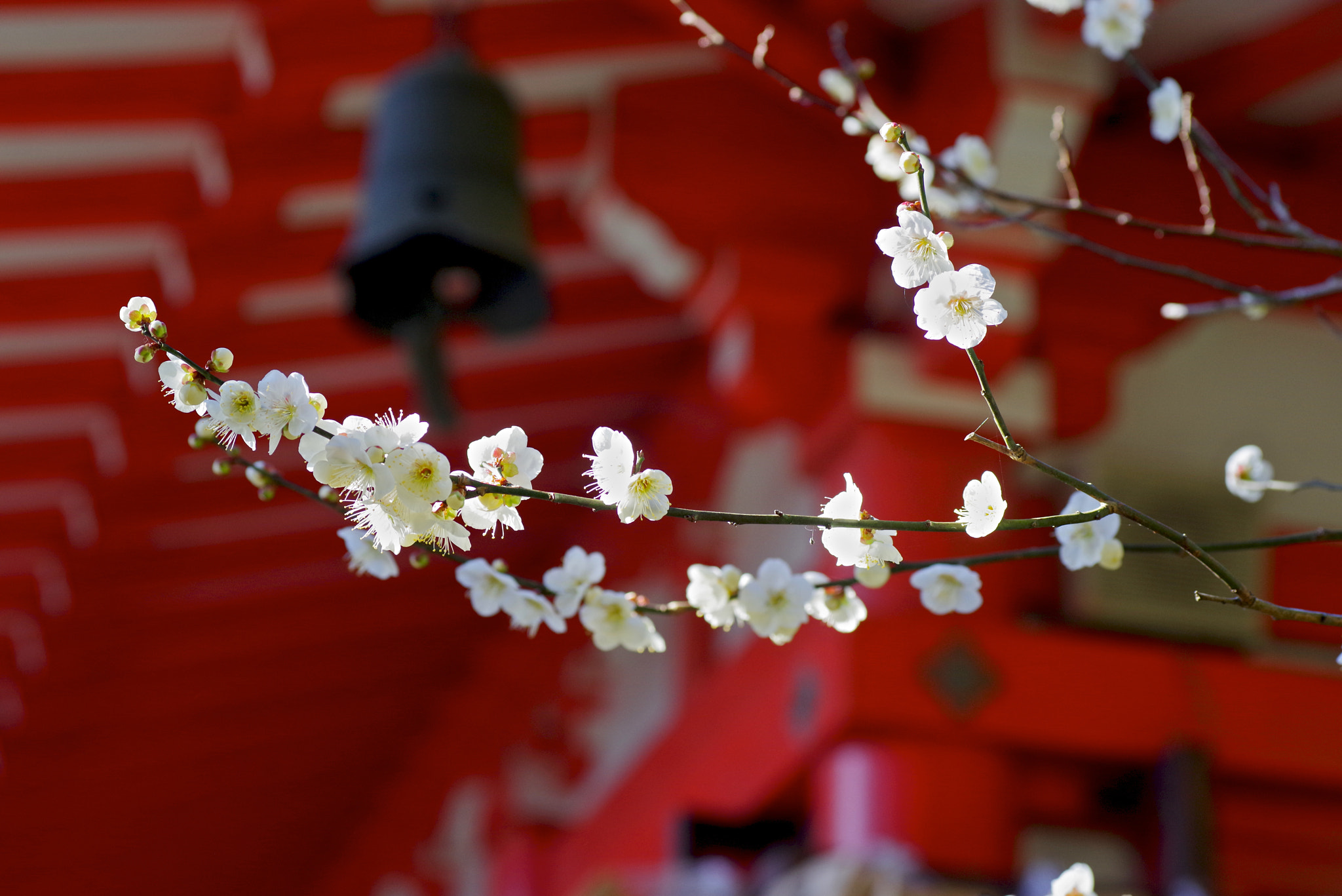 Pentax K-1 sample photo. White with red architect photography