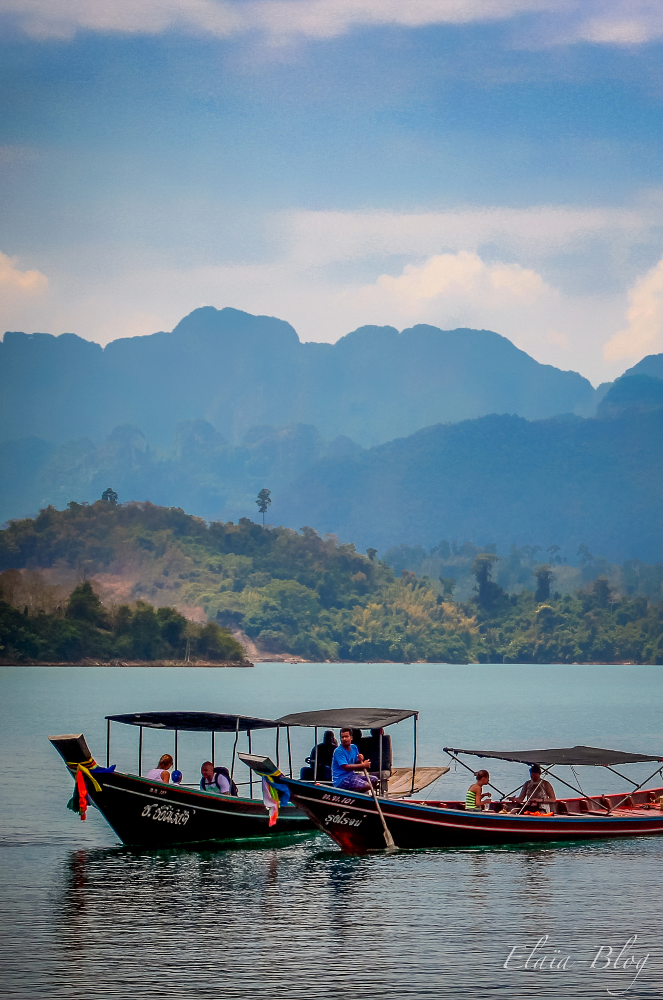 Canon EOS 550D (EOS Rebel T2i / EOS Kiss X4) + Tamron 18-270mm F3.5-6.3 Di II VC PZD sample photo. Longtails on khao sok lake photography