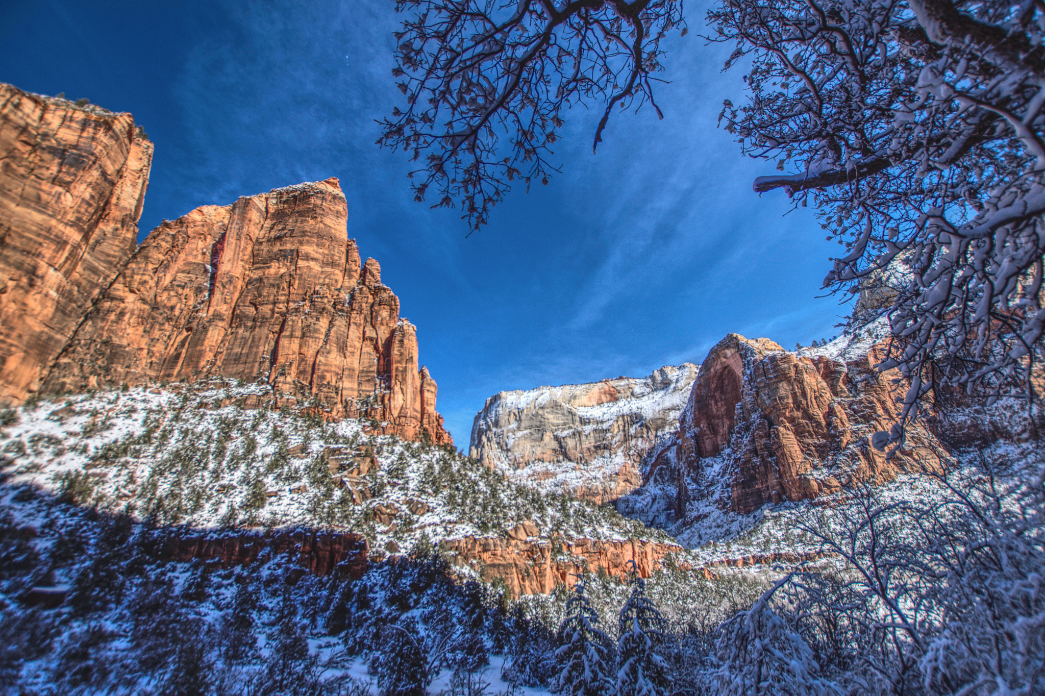 Canon EOS 500D (EOS Rebel T1i / EOS Kiss X3) sample photo. Zion national park photography