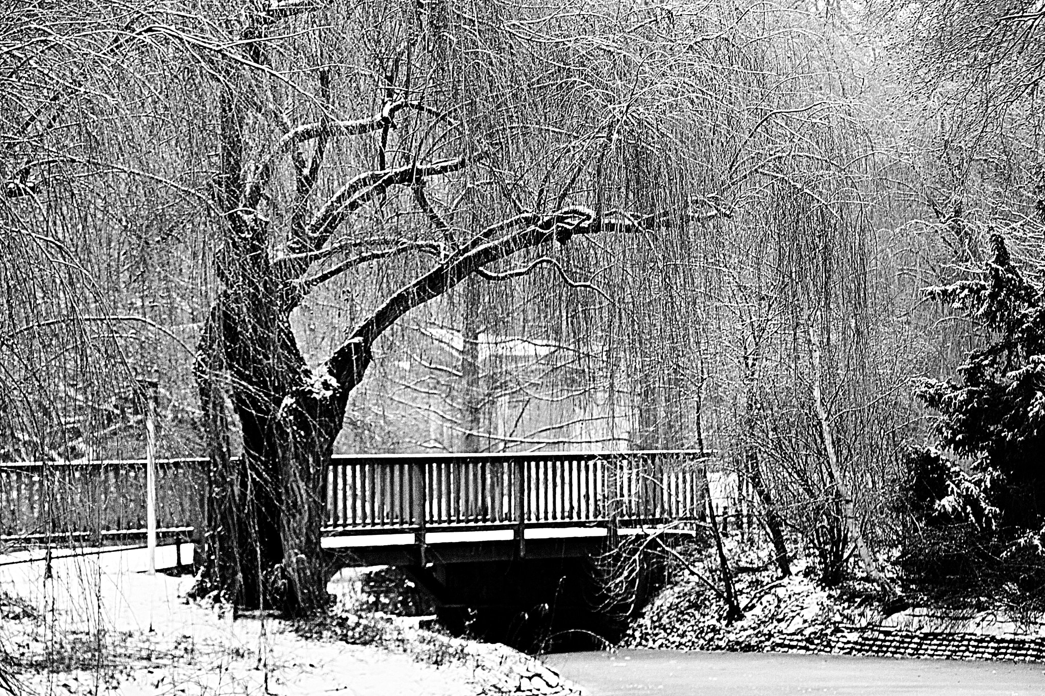 Canon EOS 500D (EOS Rebel T1i / EOS Kiss X3) sample photo. The snowfield of my mind photography