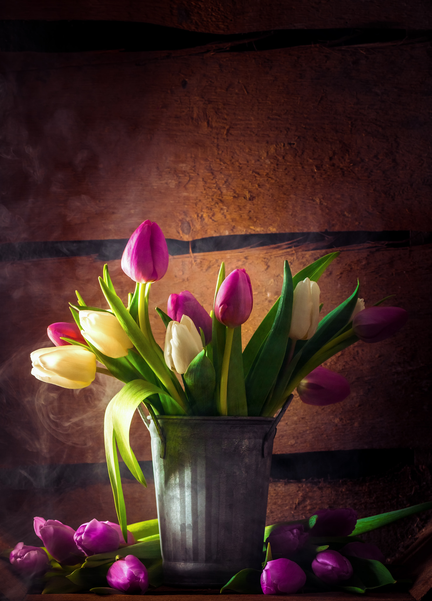 Sony ILCA-77M2 + Tamron SP AF 90mm F2.8 Di Macro sample photo. Tulips photography