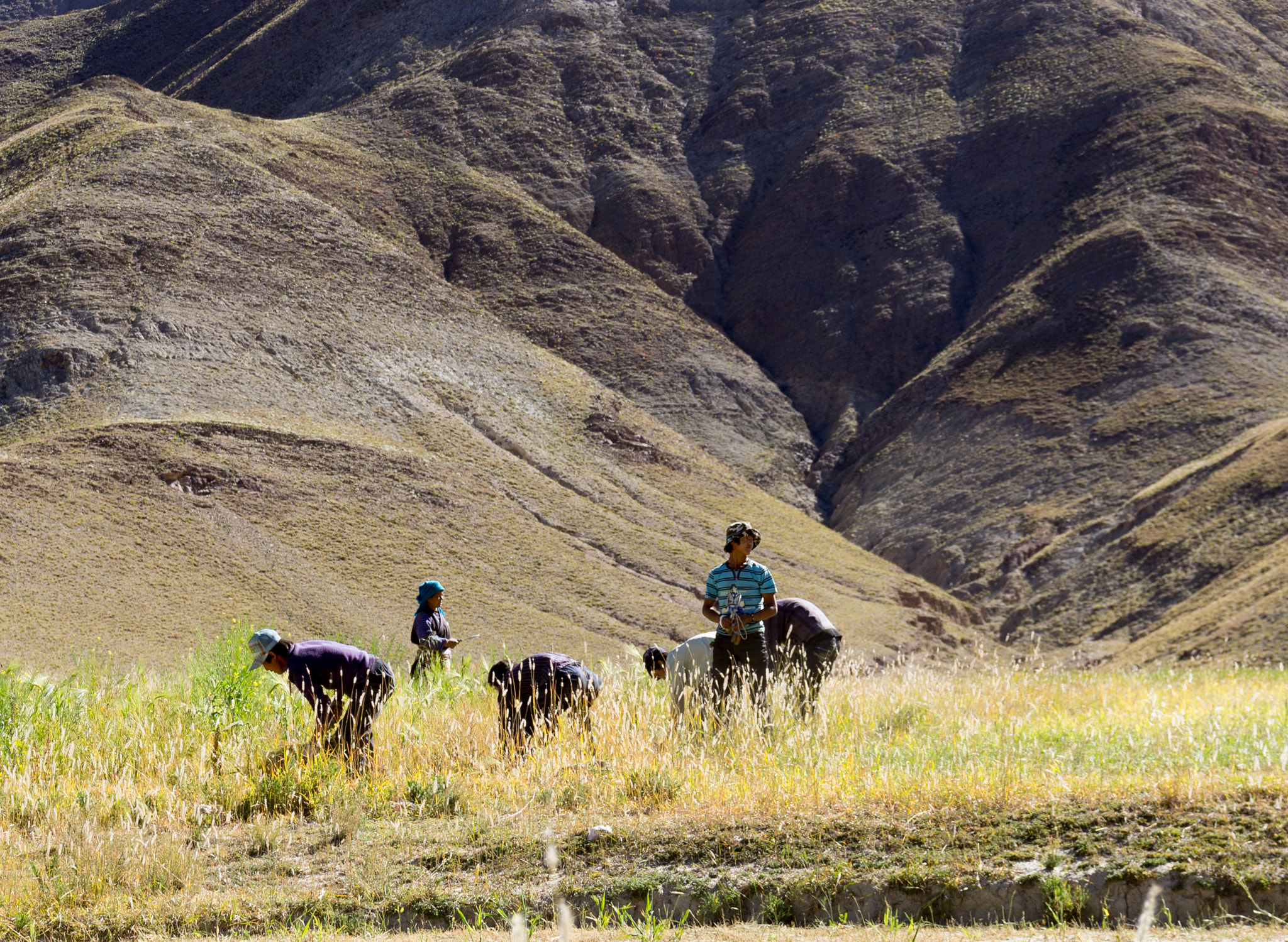 Pentax smc DA* 16-50mm F2.8 ED AL (IF) SDM sample photo. Tibet photography