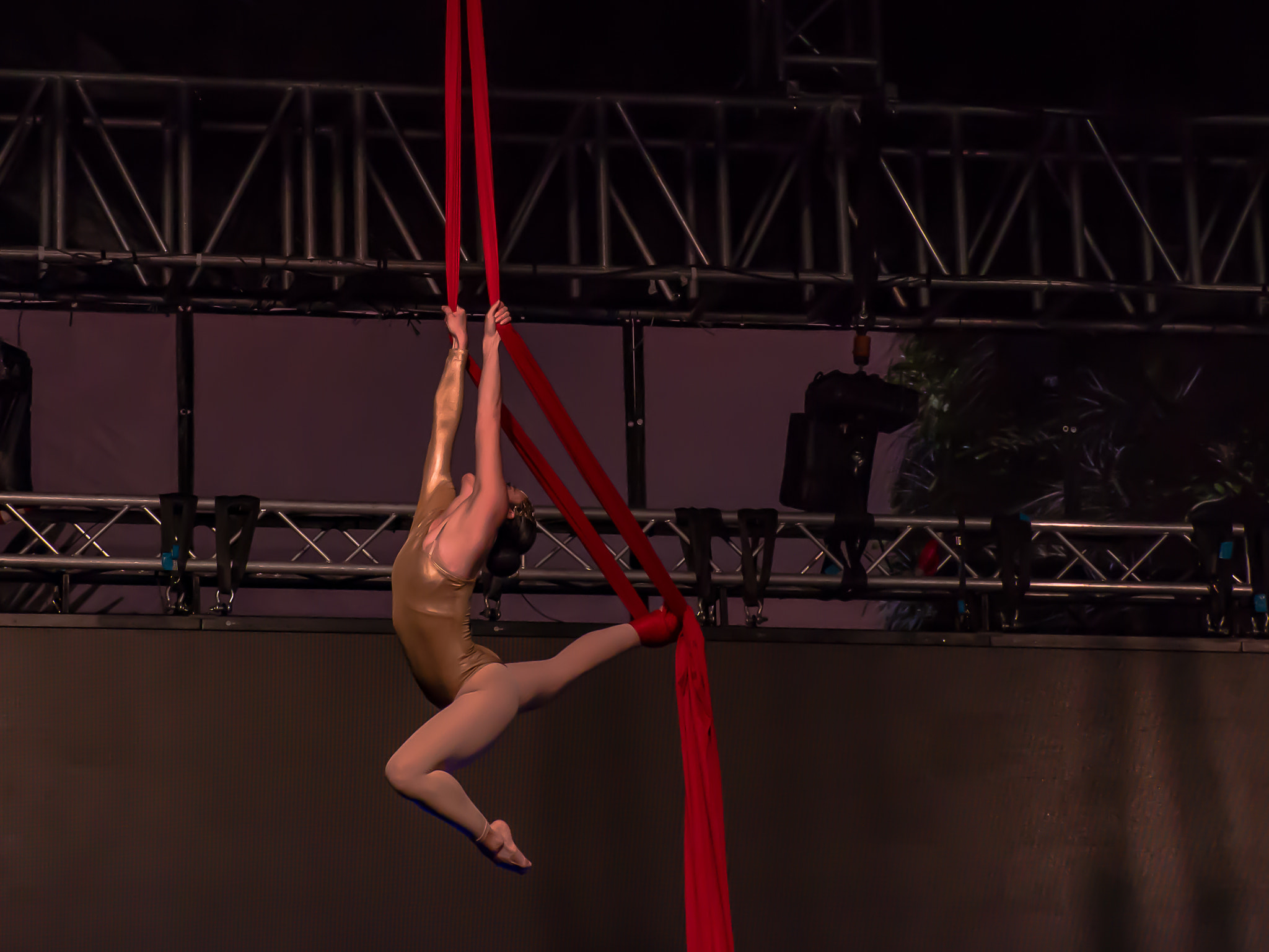 Olympus OM-D E-M10 sample photo. Acrobat i photography