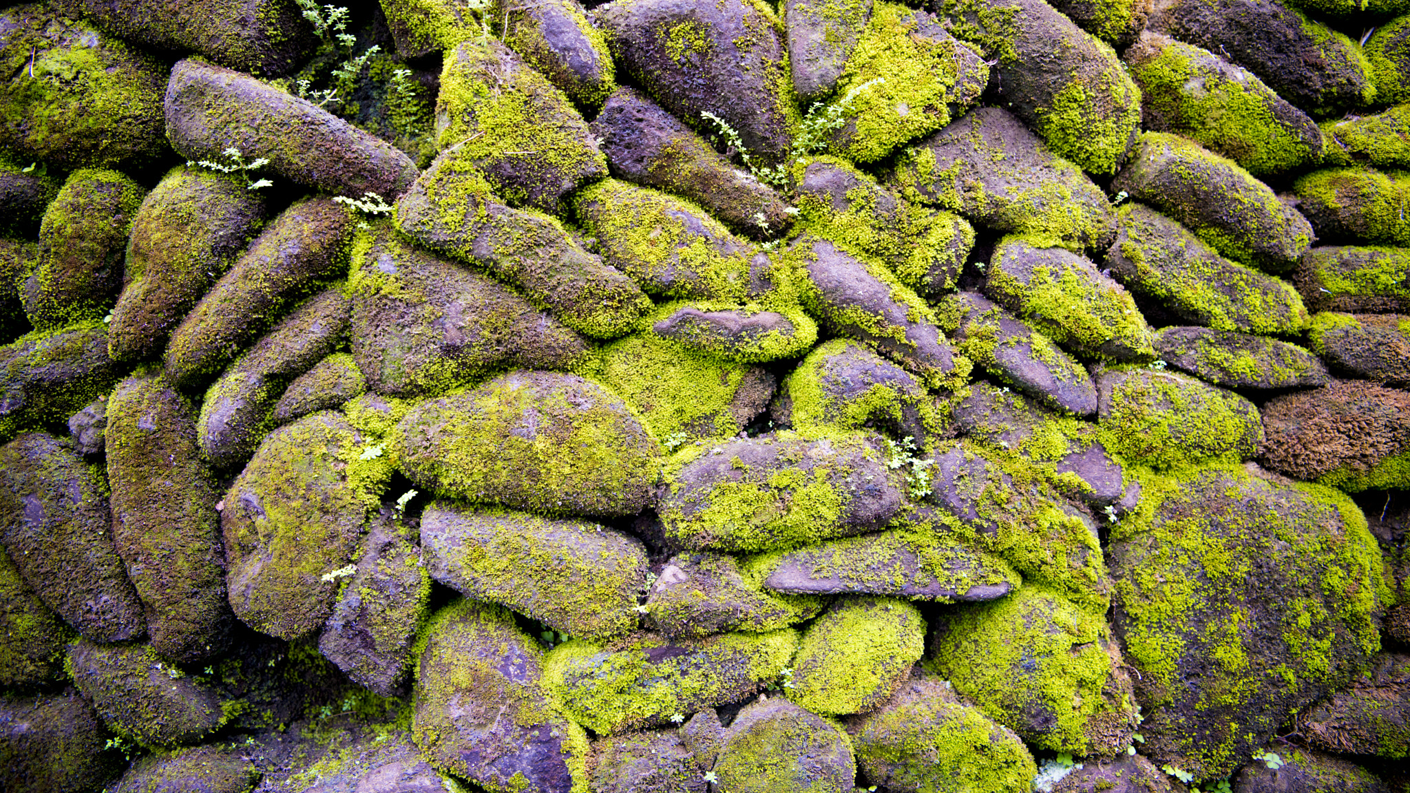 Nikon AF-S Nikkor 24-70mm F2.8E ED VR sample photo. Stone walled photography