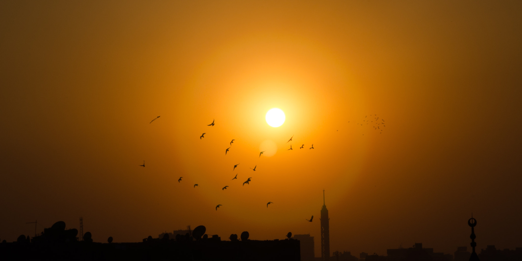 Nikon D5100 + Sigma 24-70mm F2.8 EX DG HSM sample photo. Sunset in cairo - eg photography