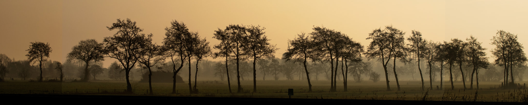 Nikon D5500 + Nikon AF-S Nikkor 50mm F1.4G sample photo. Dutch highway photography