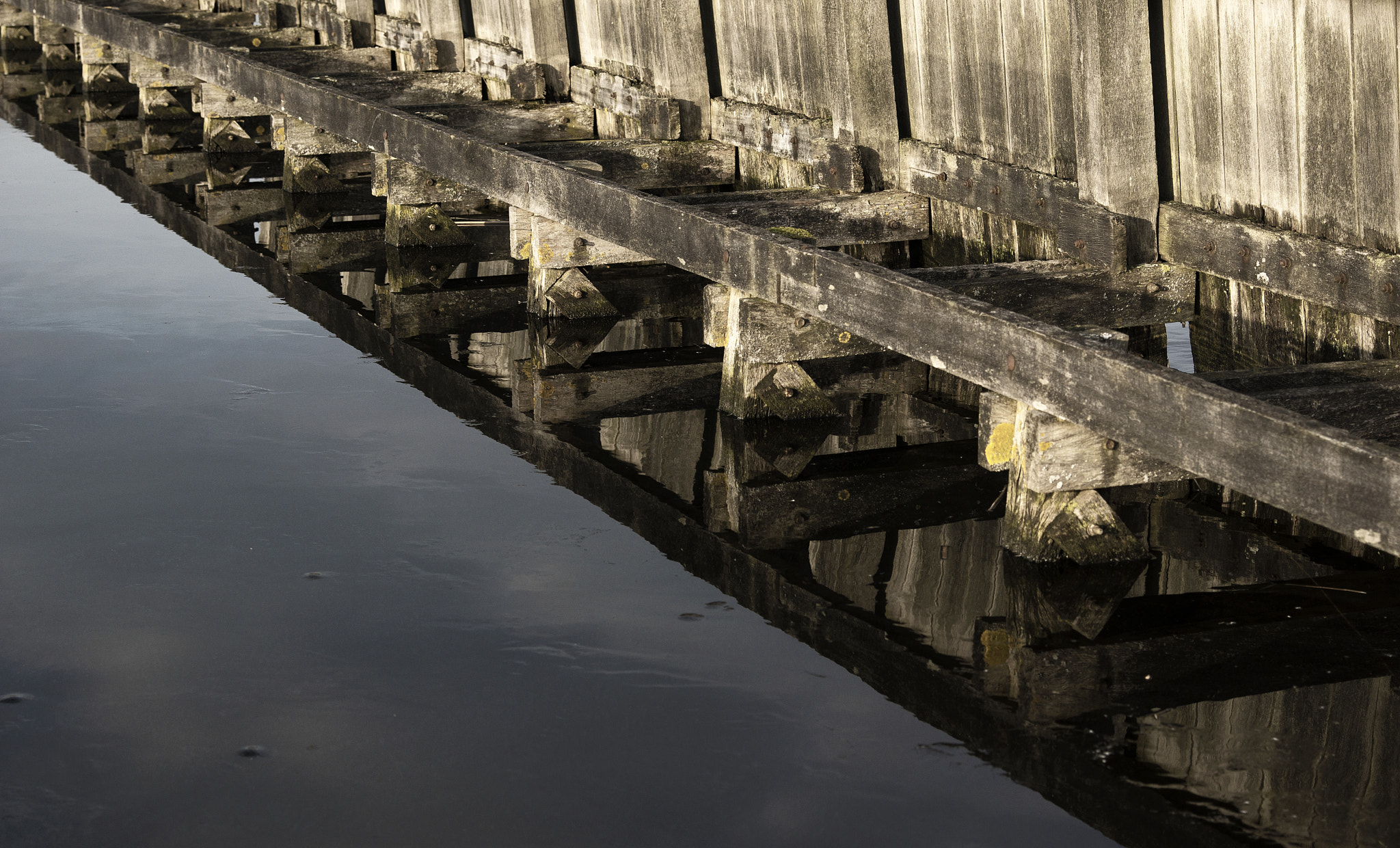 Sony SLT-A65 (SLT-A65V) sample photo. Wood&ice photography