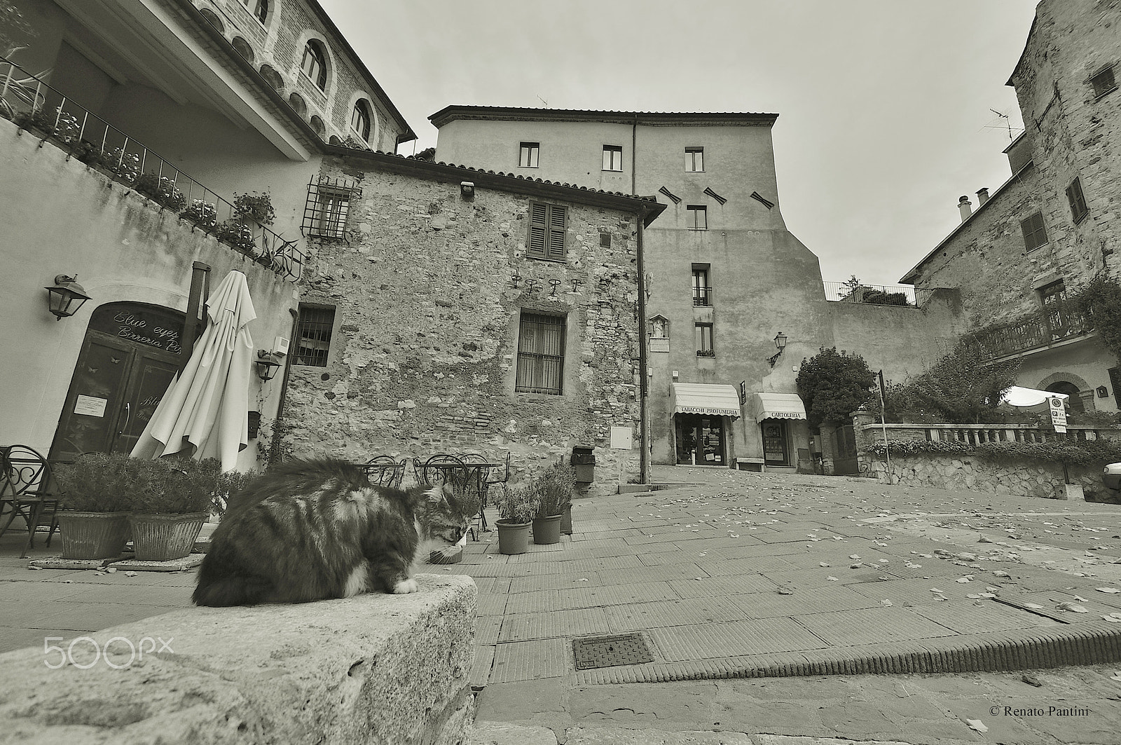 Nikon D5000 sample photo. San casciano dei bagni. photography