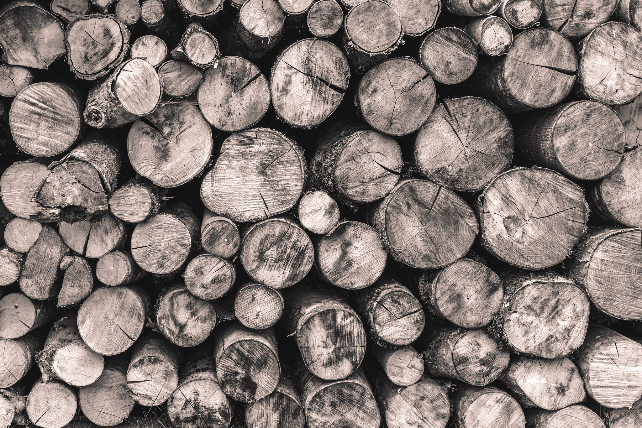 Nikon D5500 + Sigma 18-35mm F1.8 DC HSM Art sample photo. Wood photography