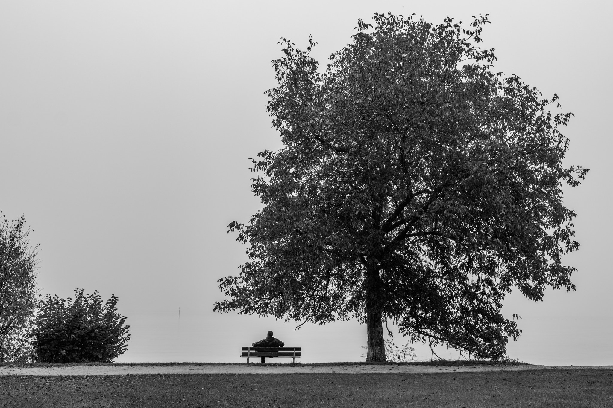 Nikon D5500 + Sigma 18-35mm F1.8 DC HSM Art sample photo. Foggy mood photography