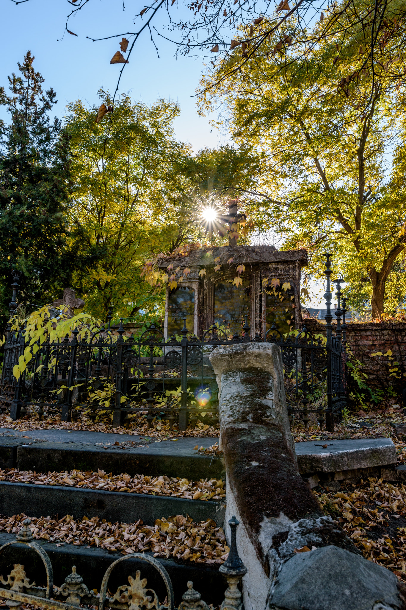 Nikon D5500 + Sigma 18-35mm F1.8 DC HSM Art sample photo. Resting in peace photography