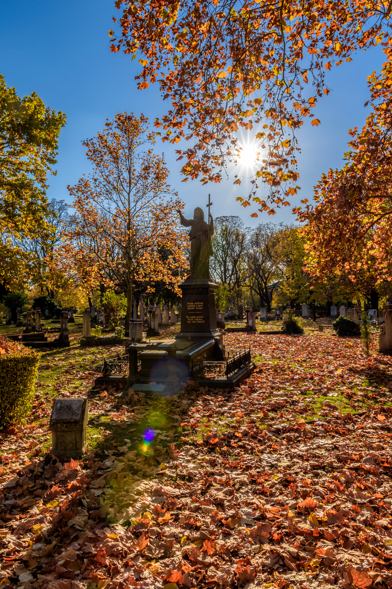 Nikon D5500 + Sigma 18-35mm F1.8 DC HSM Art sample photo. Colors of autumn photography