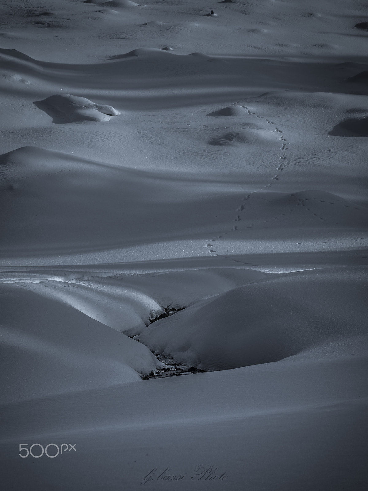 Olympus OM-D E-M10 sample photo. Tracks in the snow photography