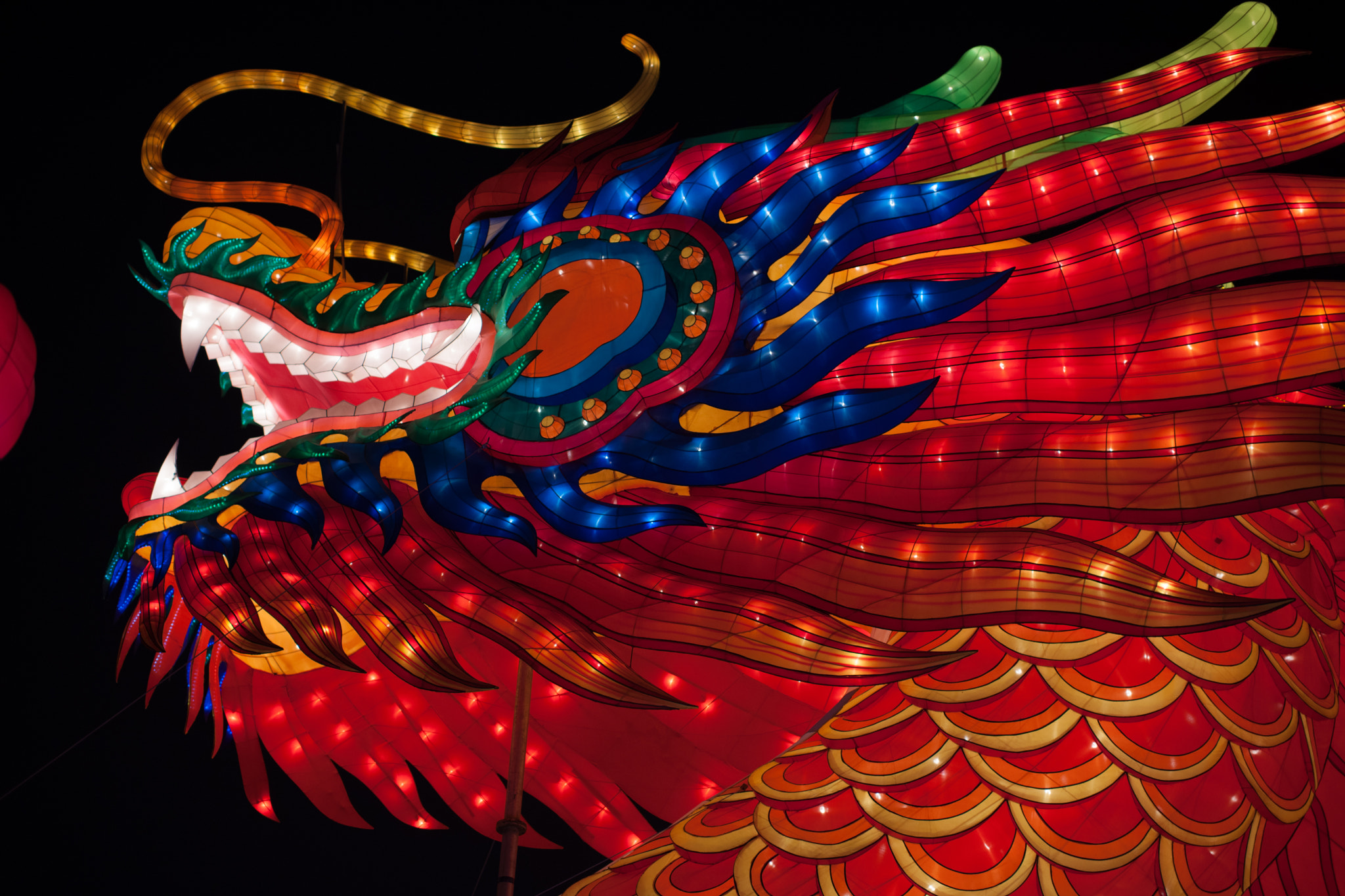 Nikon D3X + Nikon AF-S Nikkor 35mm F1.4G sample photo. Happy new year! photography