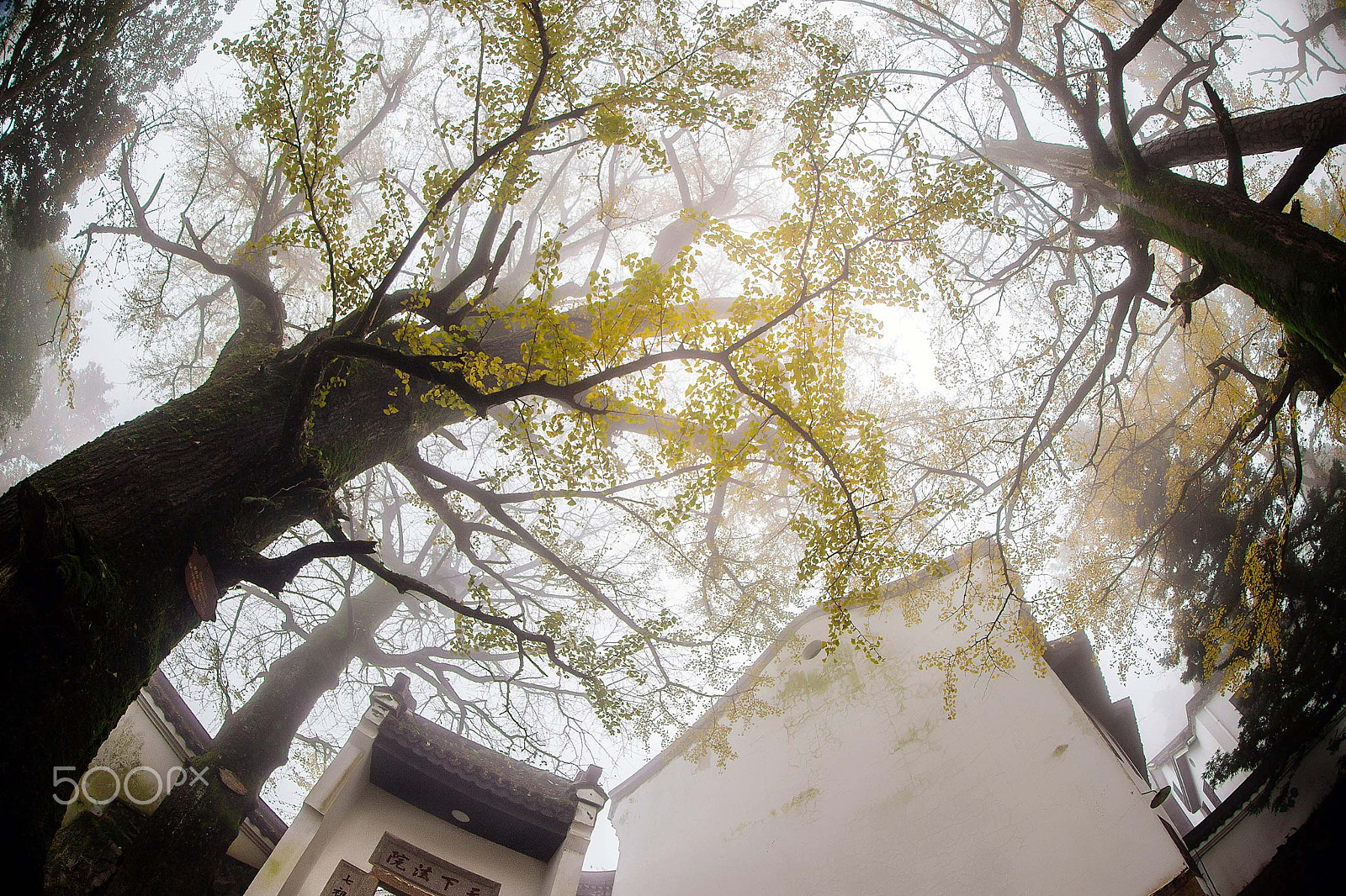 Canon EOS 600D (Rebel EOS T3i / EOS Kiss X5) + Canon EF 8-15mm F4L Fisheye USM sample photo. 古刹带烟浮 photography