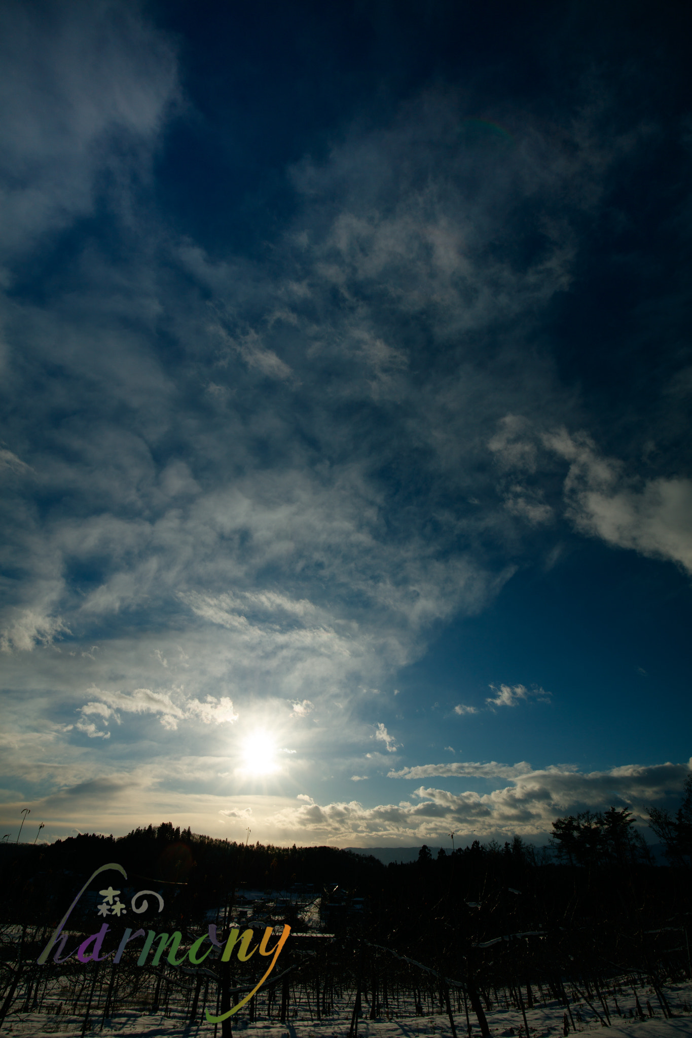 Canon EF 16-35mm F4L IS USM sample photo. The sunset of the vineyard of the country photography