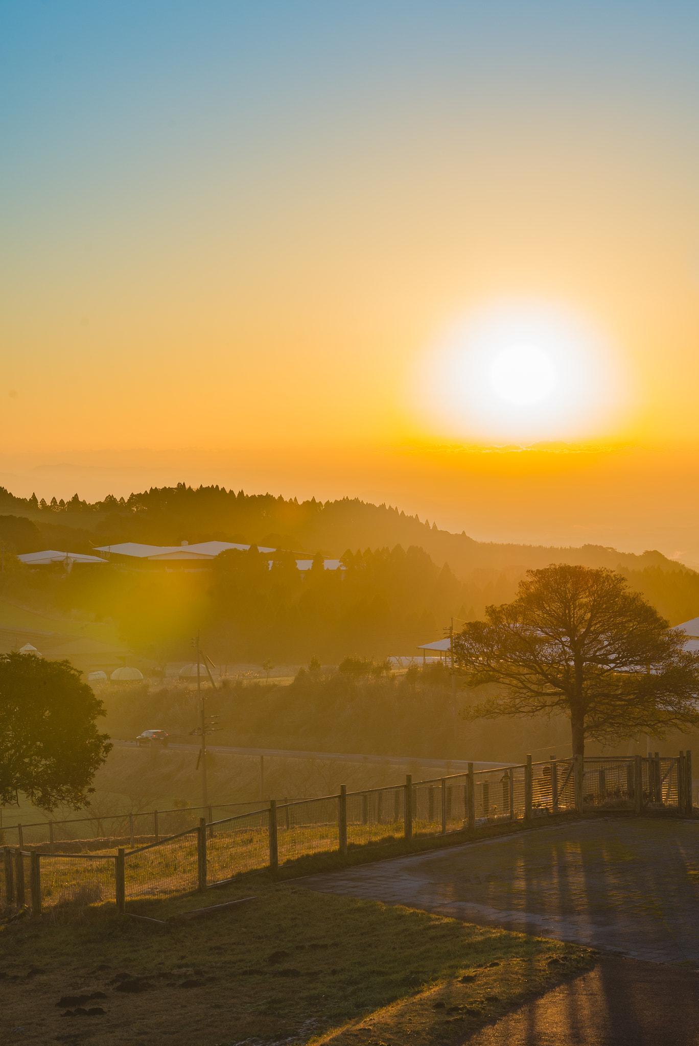 Nikon D610 + Nikon AF-S Nikkor 85mm F1.4G sample photo. New year's day photography