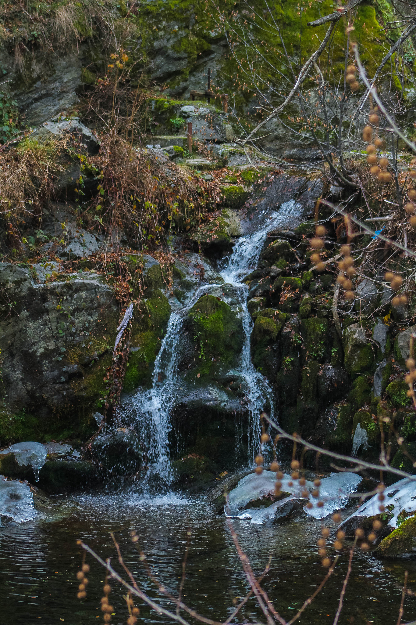 Canon EF 75-300mm f/4-5.6 USM sample photo. Img photography