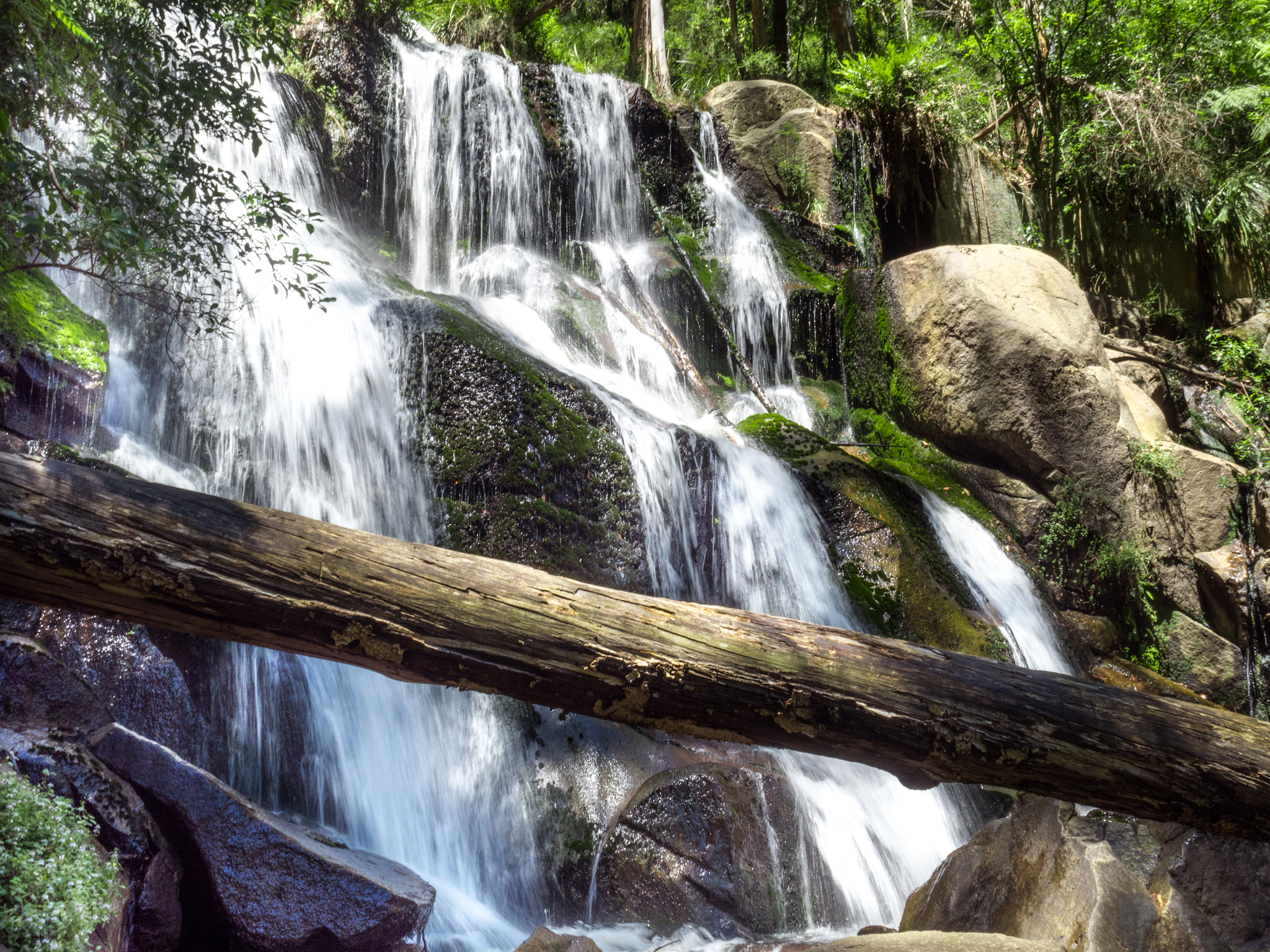 Olympus OM-D E-M5 II + Olympus M.Zuiko Digital 17mm F1.8 sample photo. Toorongo falls photography