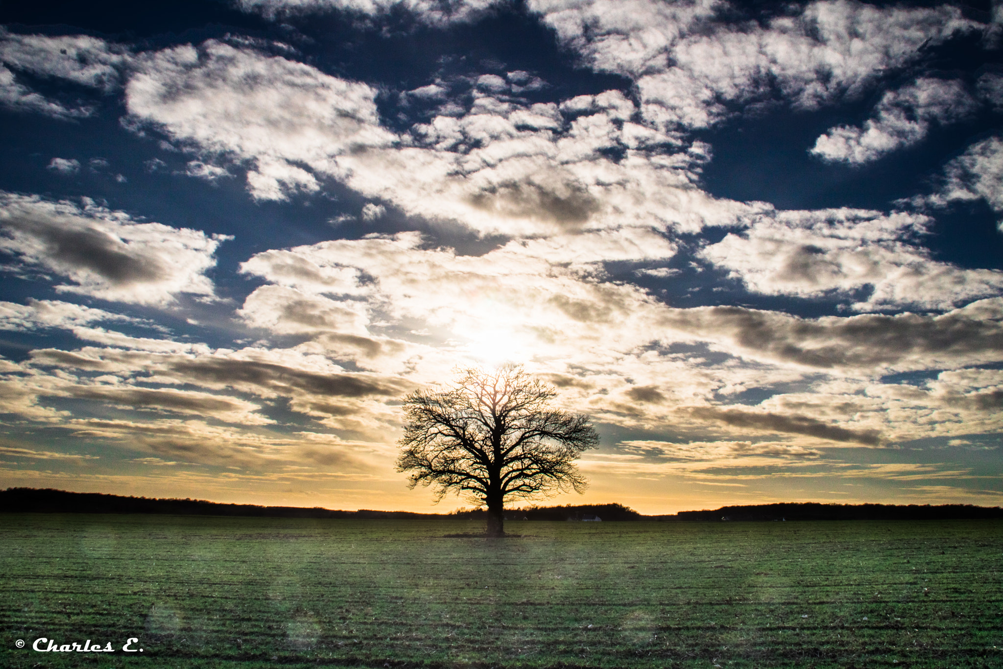 Canon EOS 750D (EOS Rebel T6i / EOS Kiss X8i) sample photo. Sunset and the tree photography