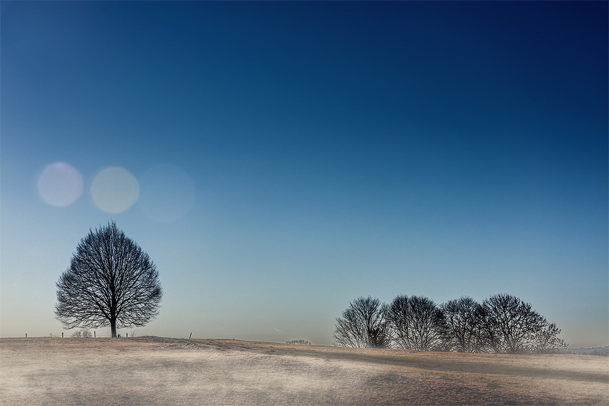 Canon EOS 40D sample photo. Frosty landscape photography