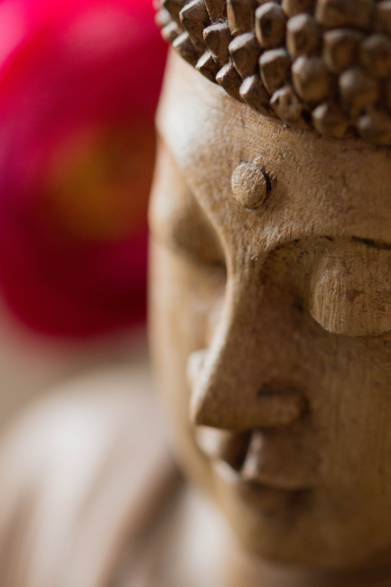 Sigma 105mm F2.8 EX DG OS HSM sample photo. Ommm photography