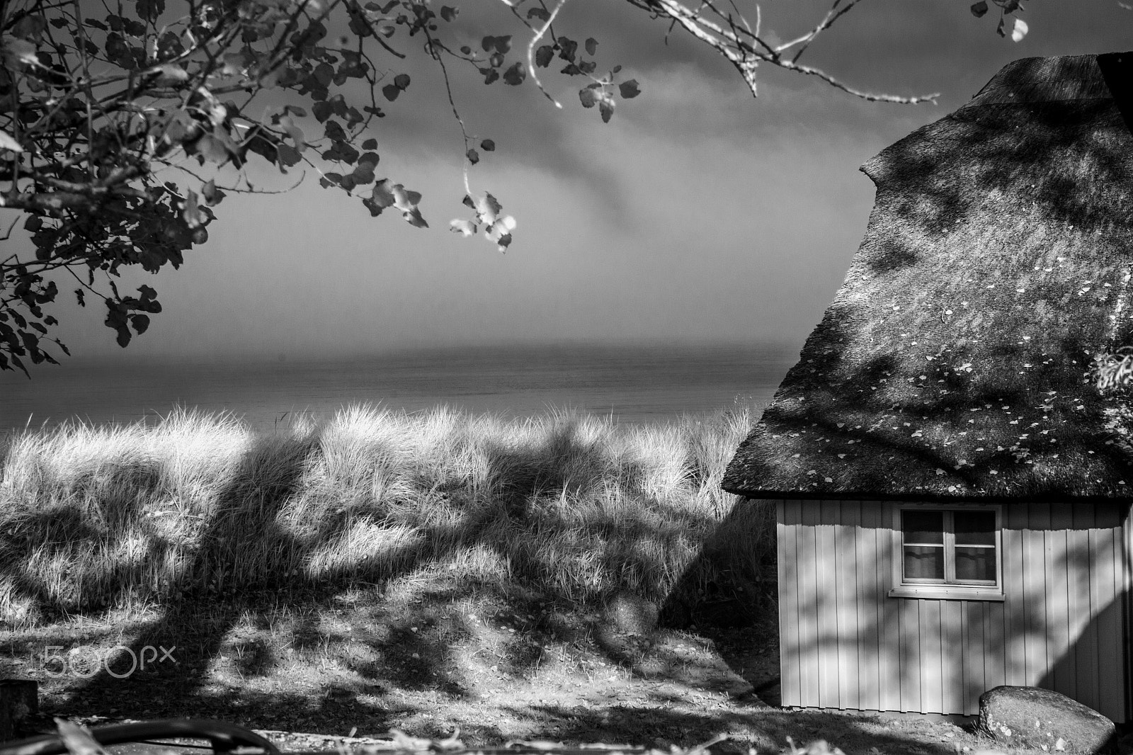 Canon EOS 500D (EOS Rebel T1i / EOS Kiss X3) sample photo. Sea mist cottage photography