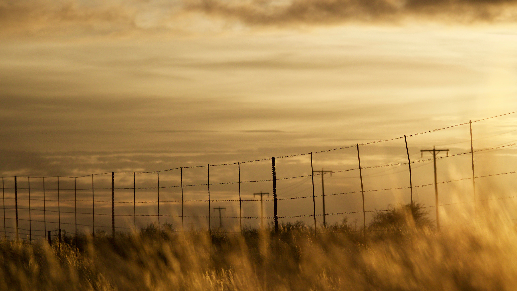 Panasonic Lumix DMC-GH4 sample photo. Morning photography