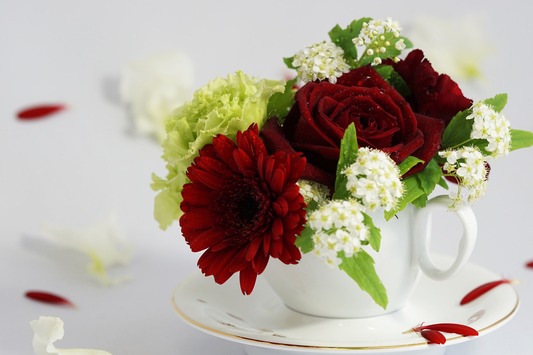 Sony a6000 + Sony FE 90mm F2.8 Macro G OSS sample photo. Flowers photography