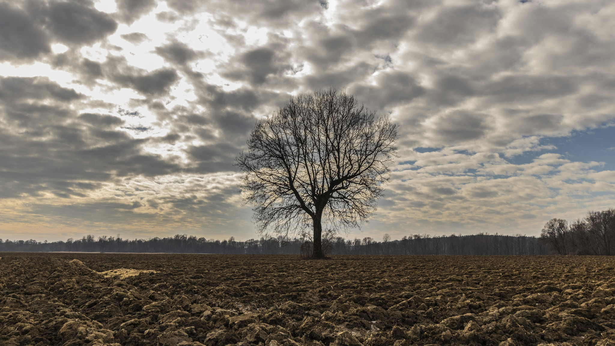 Sigma 10-20mm F3.5 EX DC HSM sample photo. Img photography