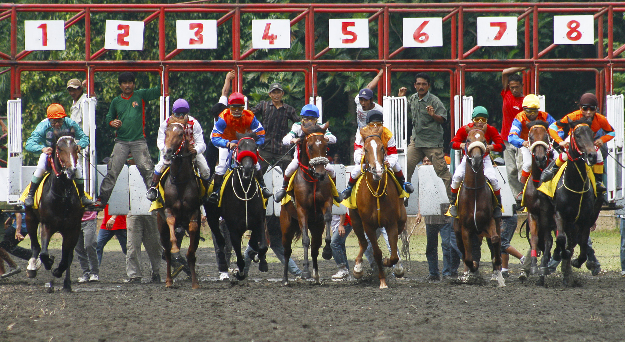 Canon EF 75-300mm f/4-5.6 USM sample photo. Horse race photography
