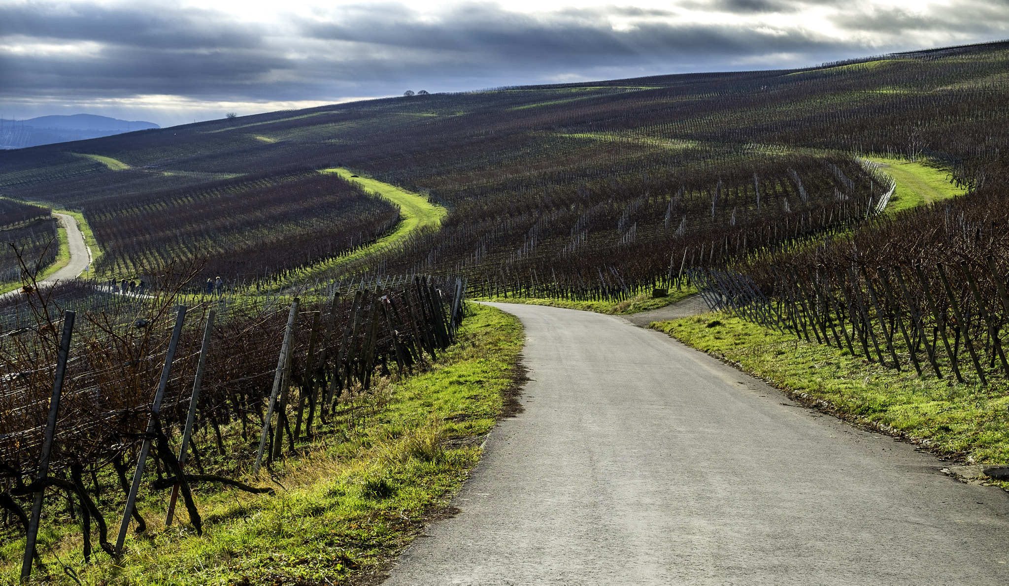 Fujifilm X-Pro1 + Fujifilm XF 50-140mm F2.8 R LM OIS WR sample photo. Stormy vineyard photography