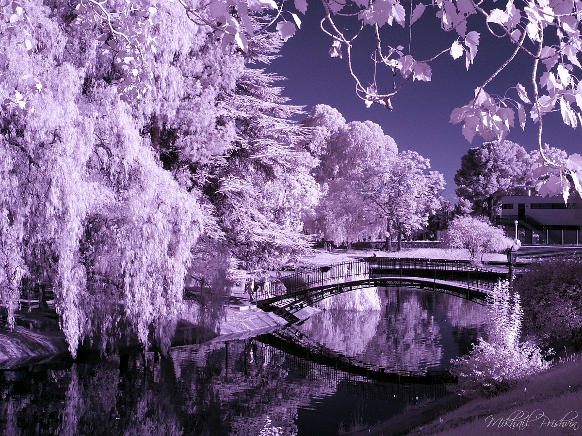 Fujifilm FinePix E550 sample photo. Infrared bridge photography