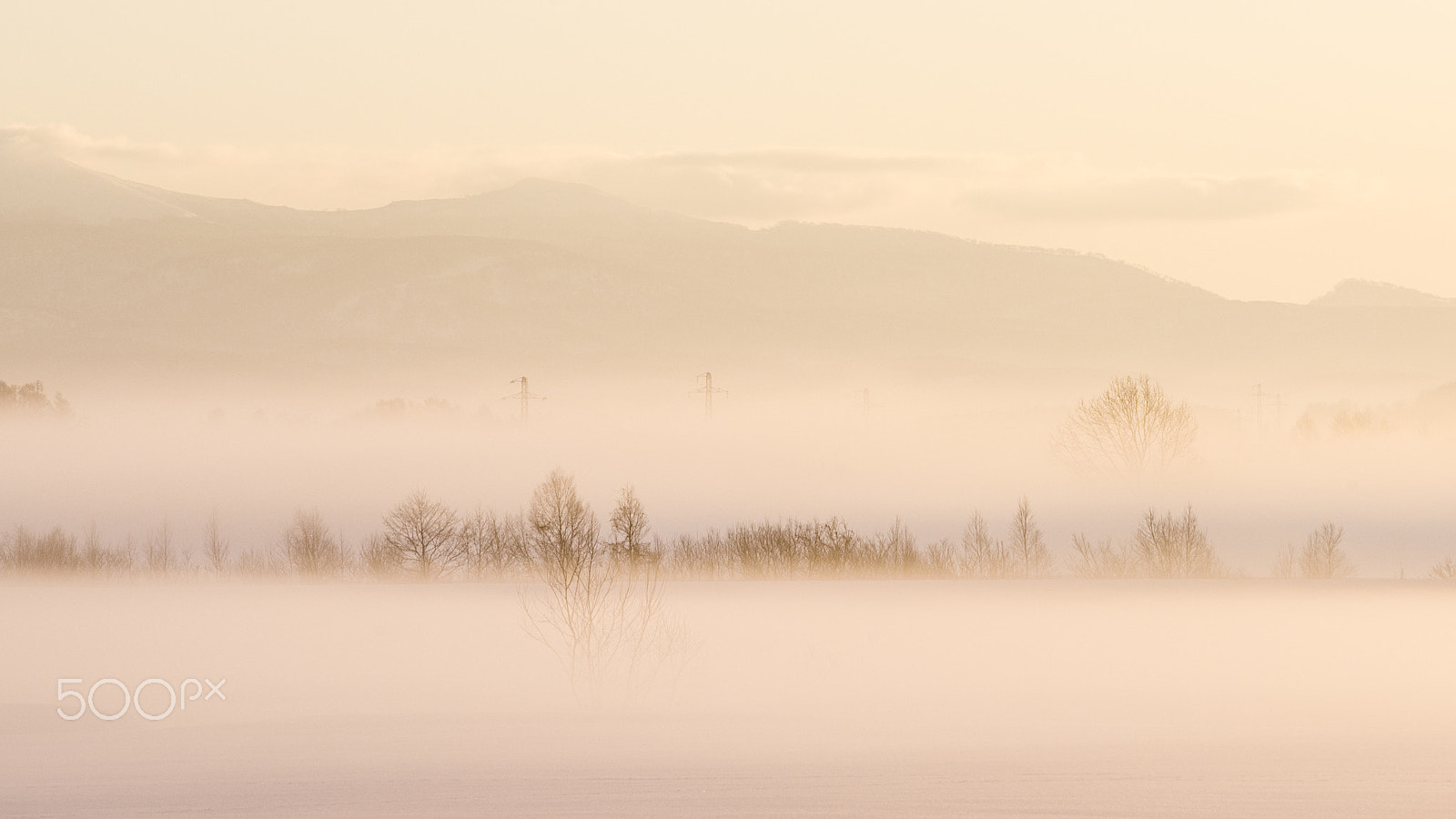 AF-S Zoom-Nikkor 80-200mm f/2.8D IF-ED sample photo. Winter morning fog photography