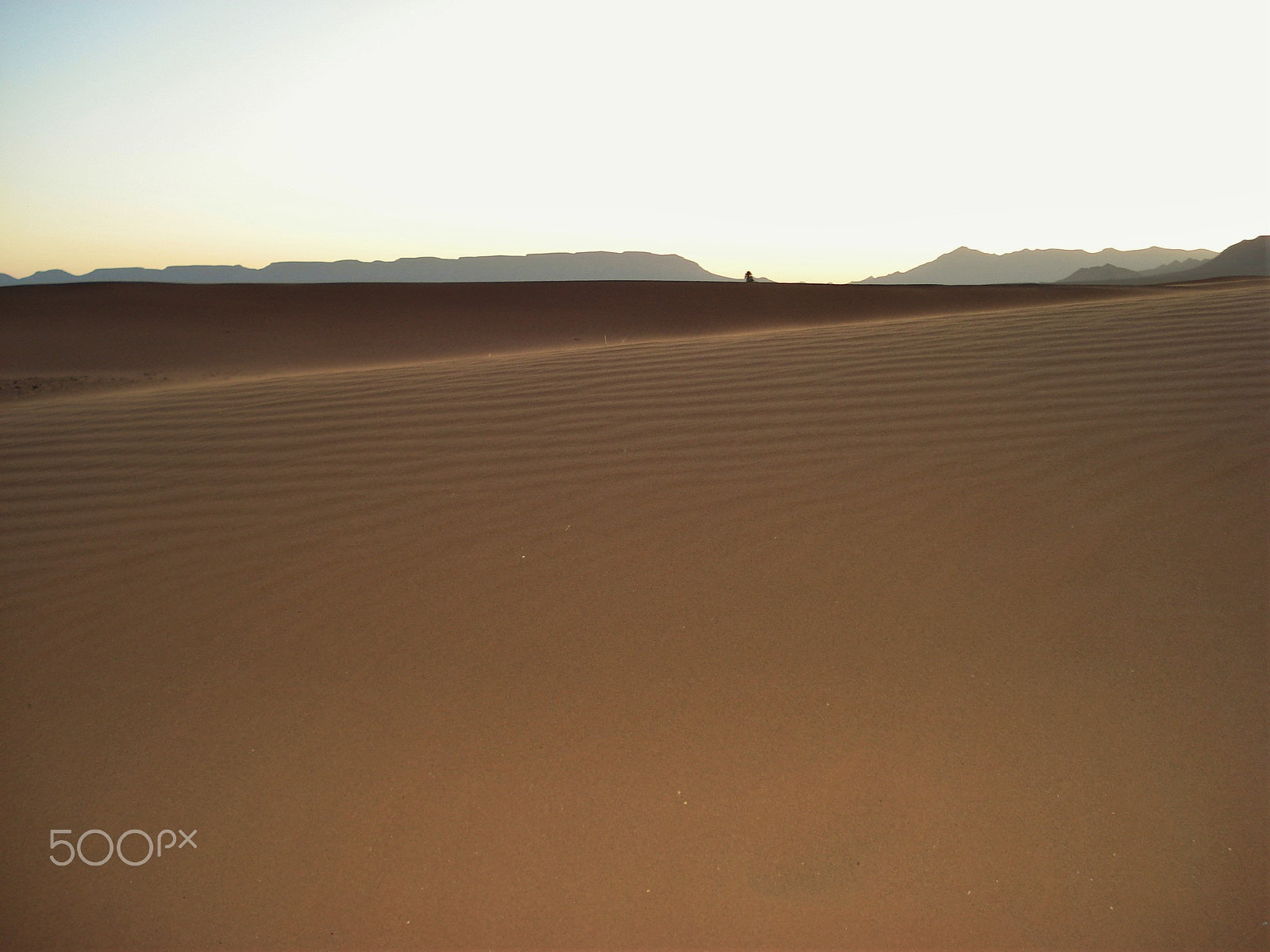 Sony DSC-W50 sample photo. Desert lines photography