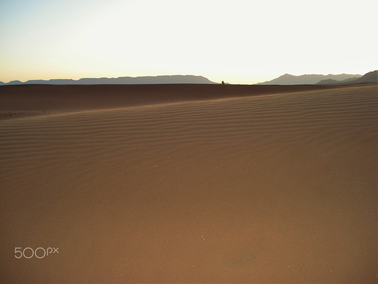 Sony DSC-W50 sample photo. Desert lines photography