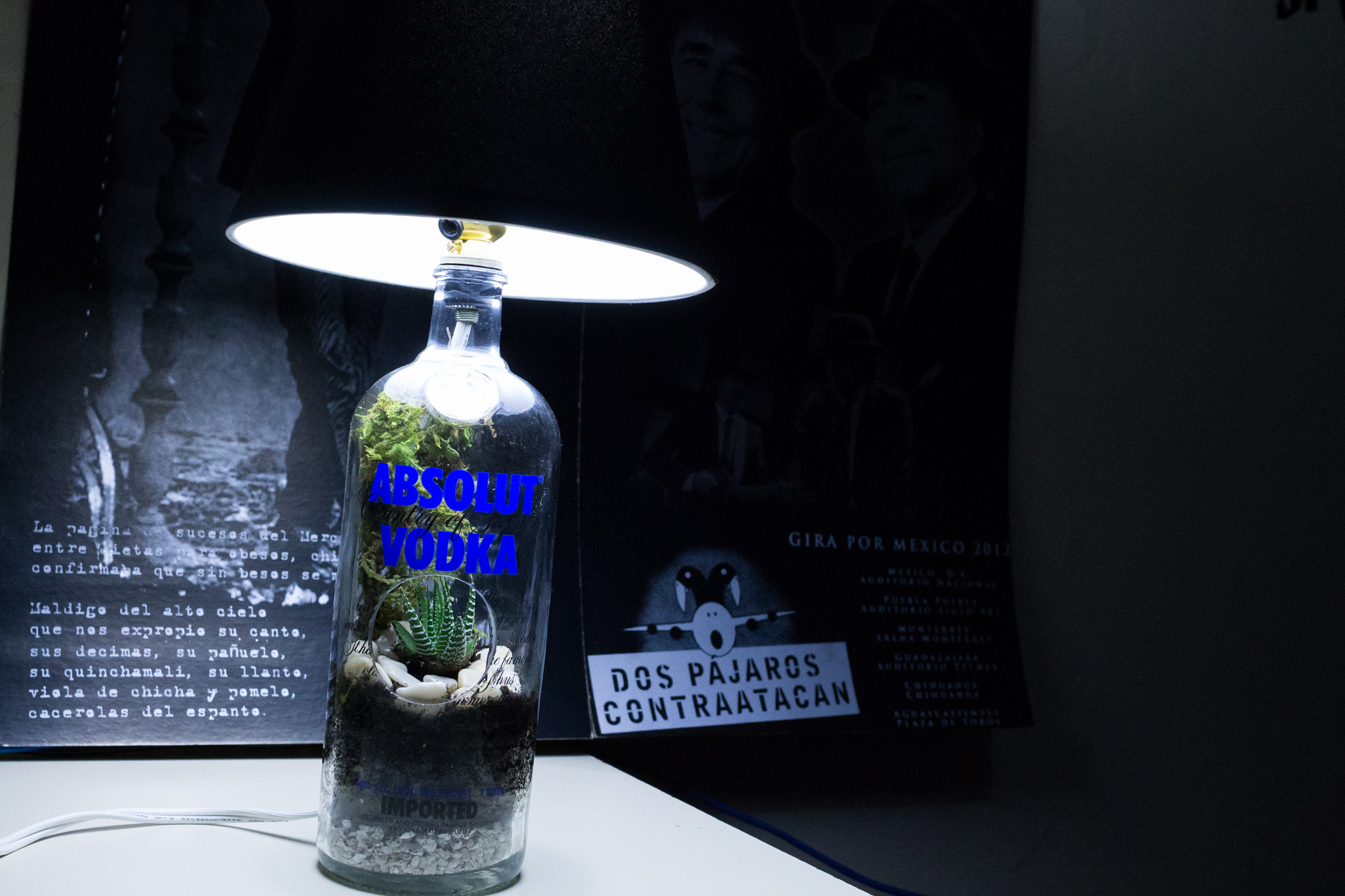 Canon EF-S 24mm F2.8 STM sample photo. Vodka zebra photography