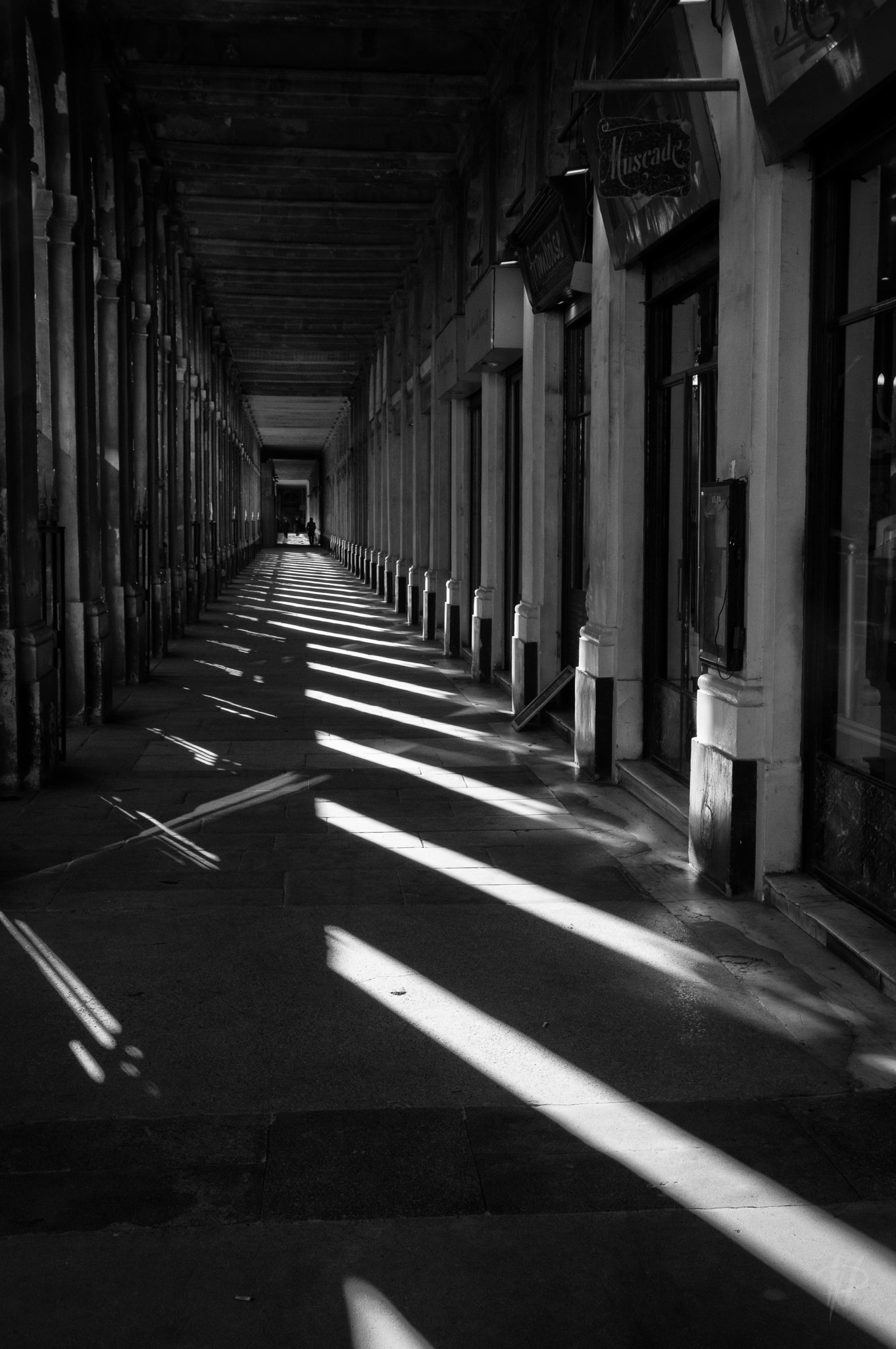 Pentax K-3 sample photo. Shadows photography
