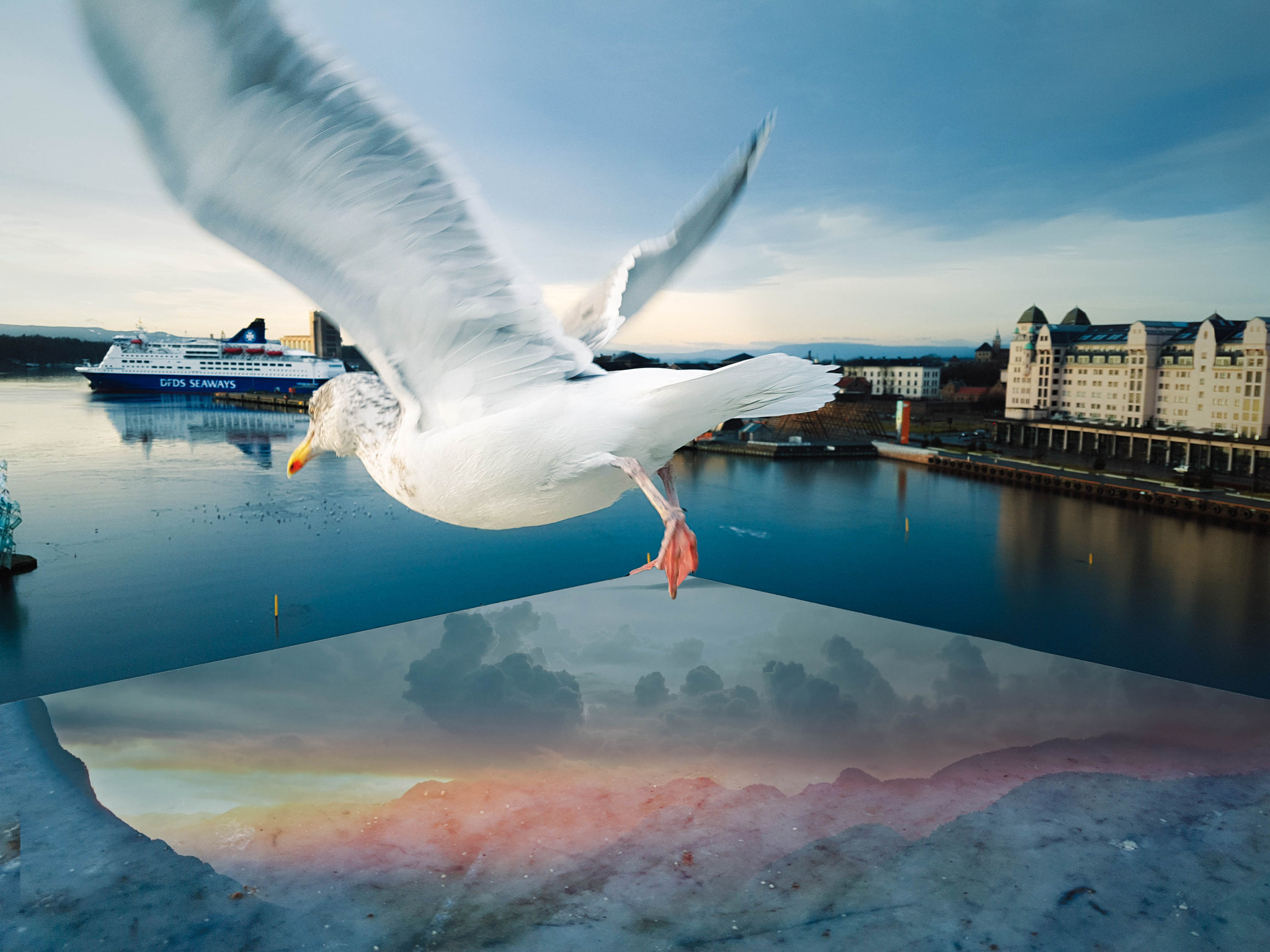 Samsung Galaxy S7 Edge + Samsung Galaxy S7 Edge Rear Camera sample photo. Bird in oslo photography