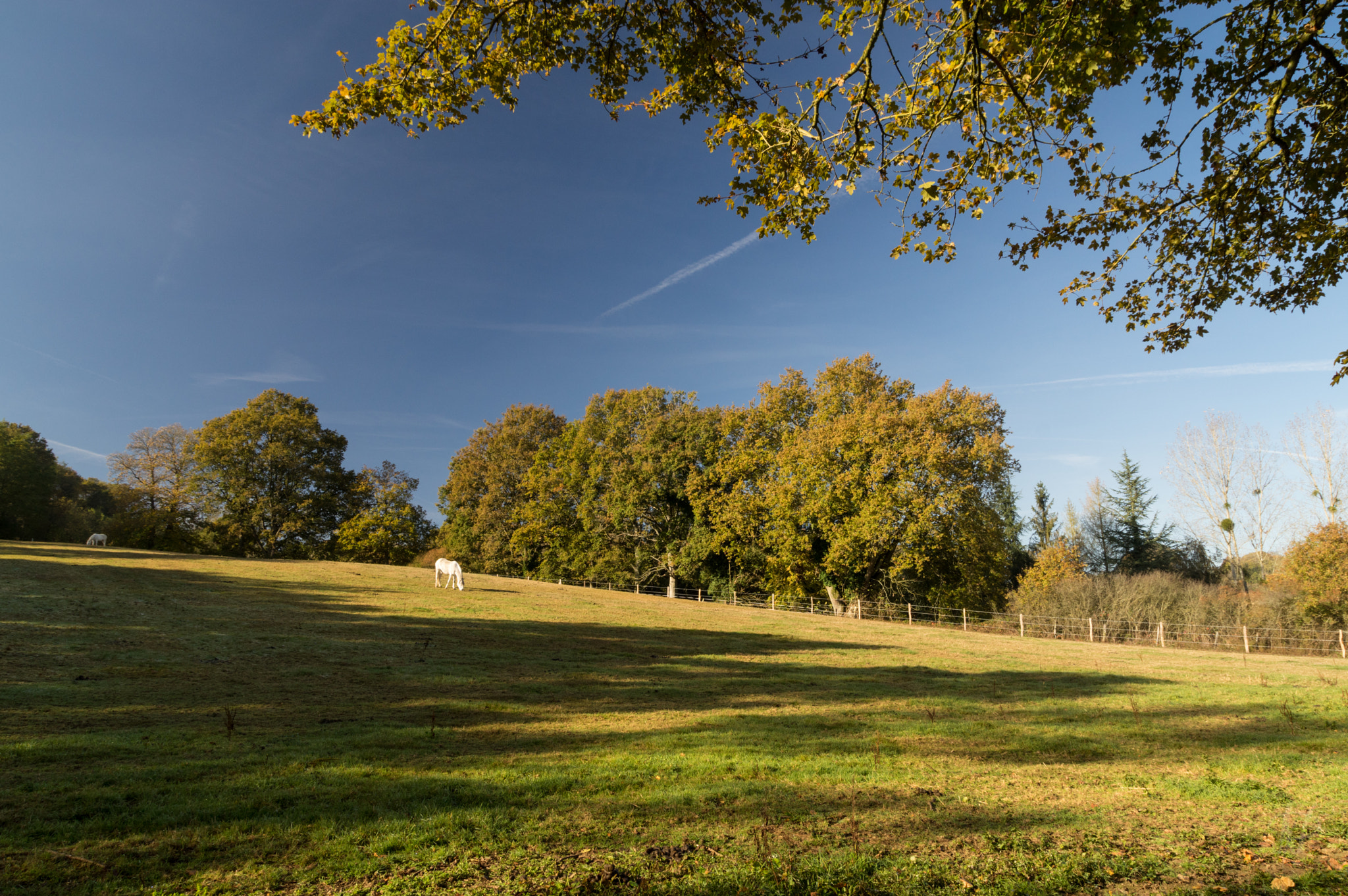 Pentax K-3 sample photo. Automne photography