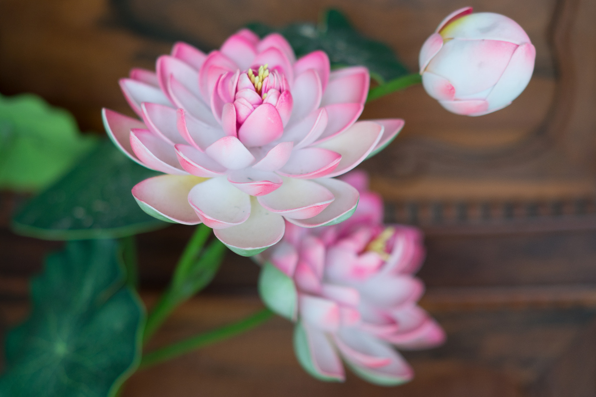 Sony a6500 + Sony Sonnar T* FE 55mm F1.8 ZA sample photo. Lotus flower in vietnam temple photography