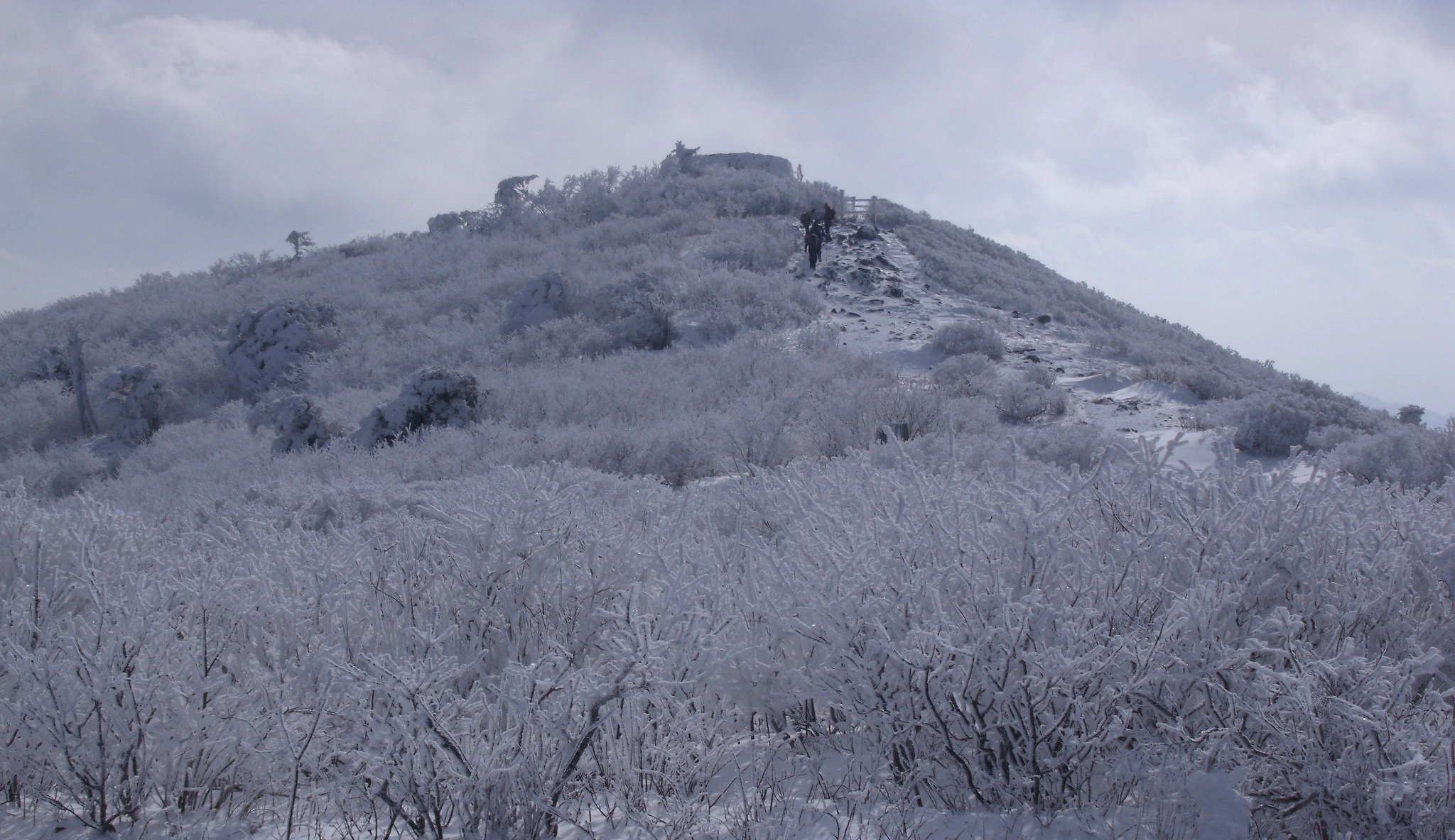 Fujifilm FinePix J110W sample photo. Frosted trail photography