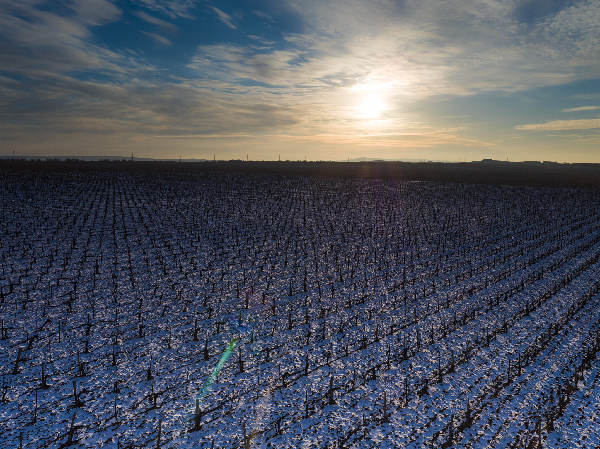 DJI MFT 15mm F1.7 ASPH sample photo. Snow-covered vine field photography