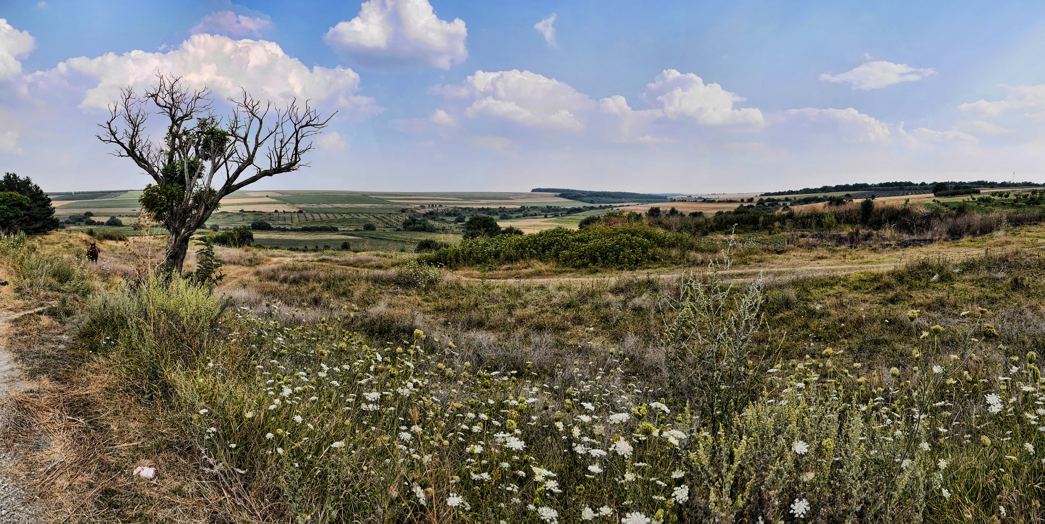 Panasonic Lumix DMC-GX7 sample photo. Landscape near razgrad photography