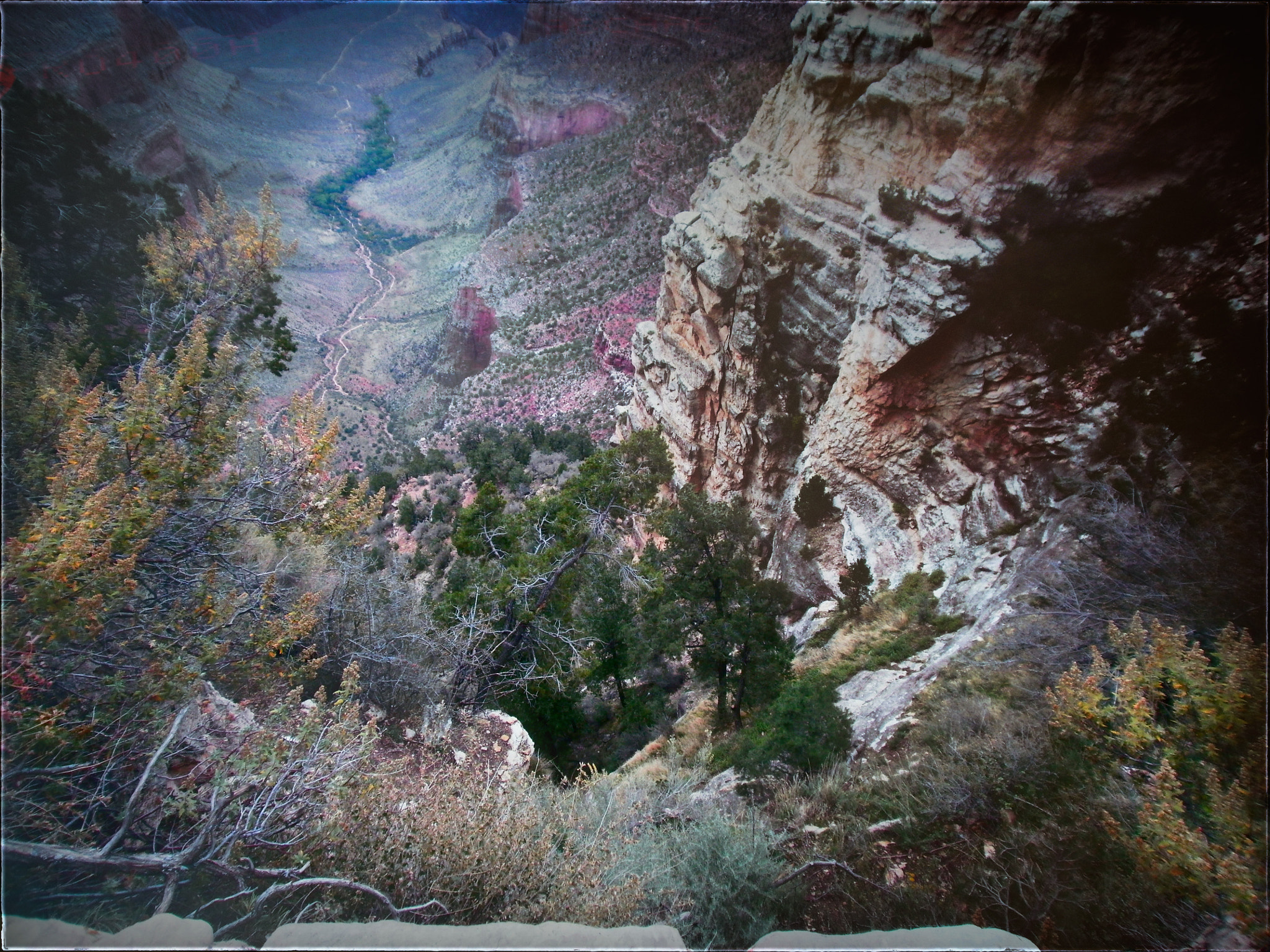 Olympus FE4020,X940 sample photo. Gran canyon photography